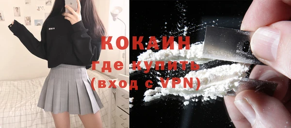 бошки Бронницы