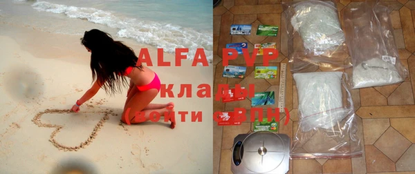 прущая мука Бородино