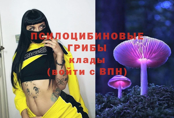бошки Бронницы