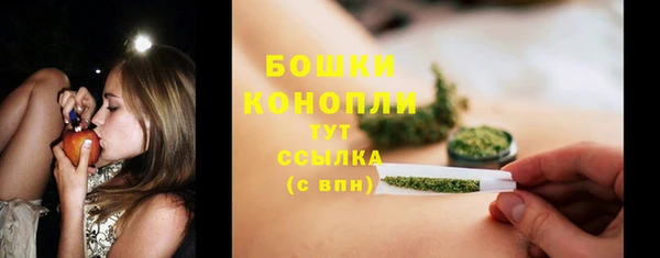 прущая мука Бородино