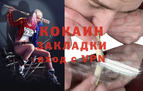 бошки Бронницы
